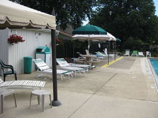 Junior Olympic Size Swimming Pool Junior Olympic Size Swimming Pool